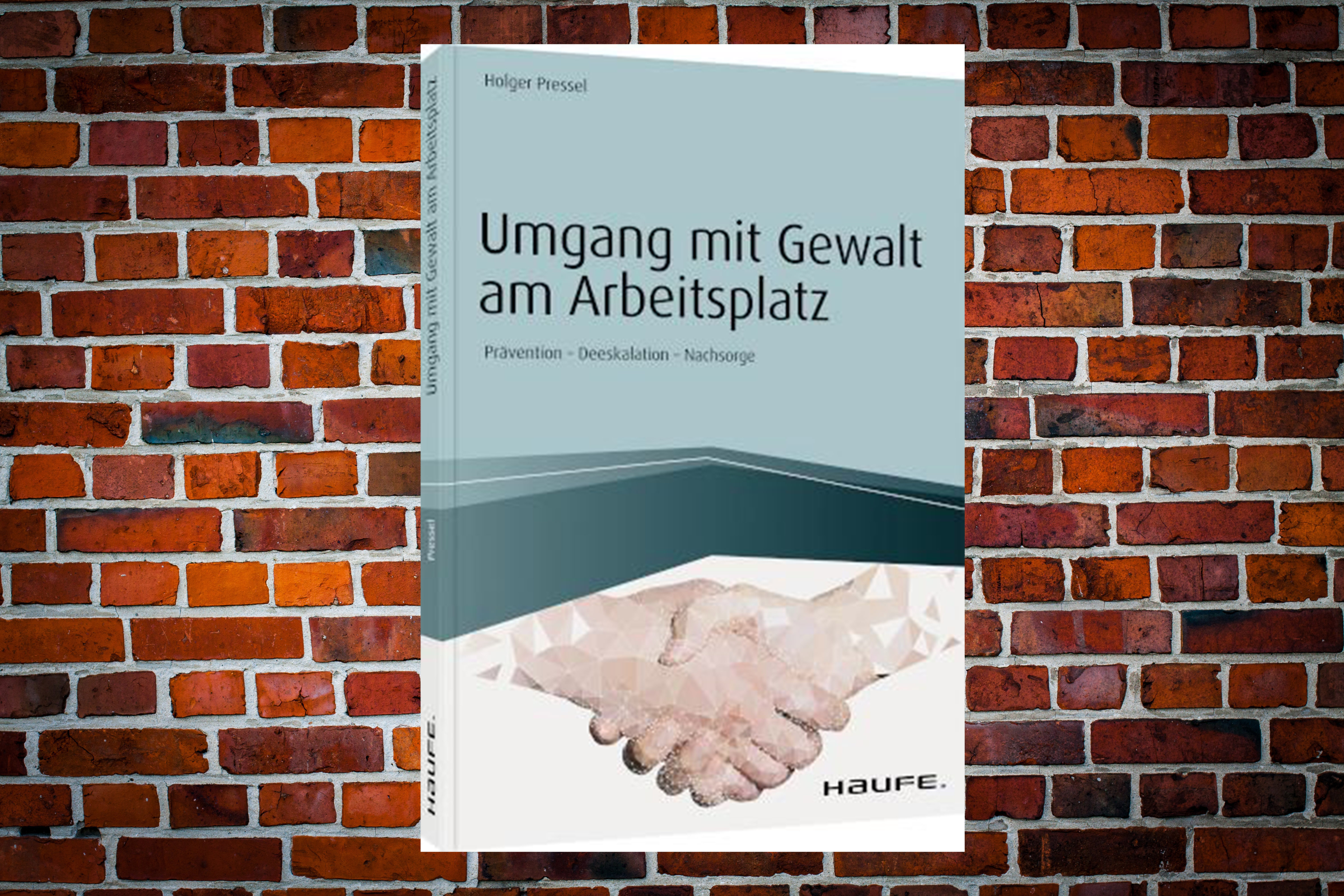 Sachbuch | Umgang mit Gewalt am Arbeitsplatz